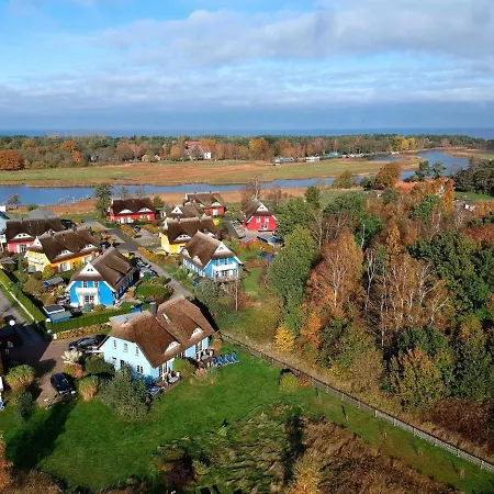 Daniela 2 דירה פרראו