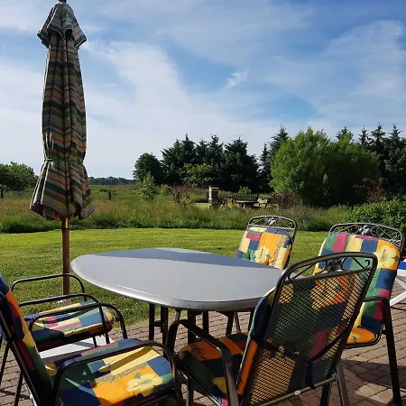 Daniela 2 * פרראו