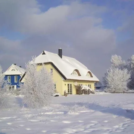 Daniela 2 דירה פרראו